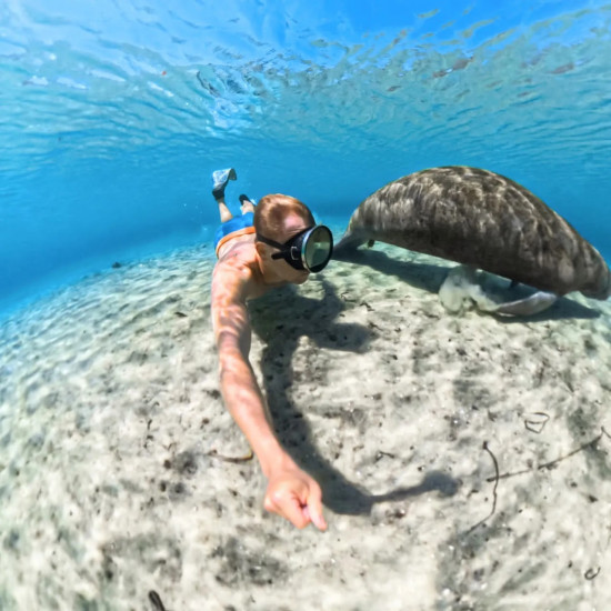 Invisible Dive Case for Insta360 X5