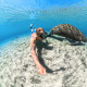 Invisible Dive Case for Insta360 X5