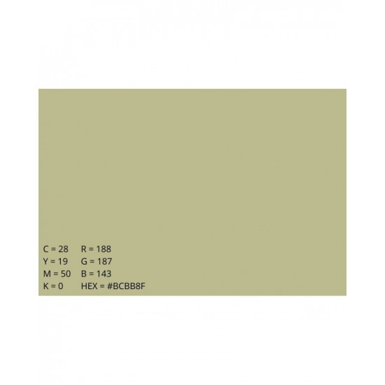 Background Paper Rolls 2.72x11m Tropical Green