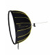 NiceFoto DL90-2000A 200W Bi-Color Umbrella Light