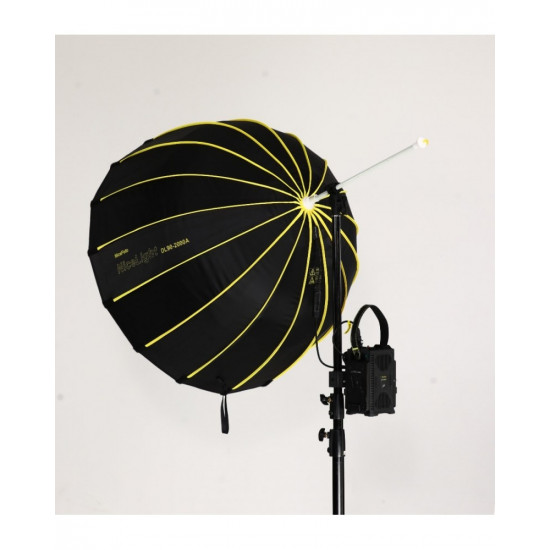 NiceFoto DL90-2000A 200W Bi-Color Umbrella Light