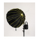 NiceFoto DL90-2000A 200W Bi-Color Umbrella Light
