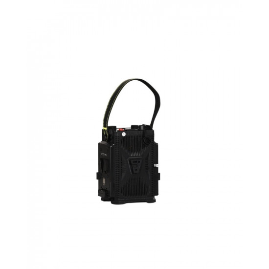 NiceFoto DL80-1000A 100W Bi-Color Umbrella Light