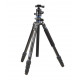 Benro GoPLus tripod kit FGP28A+B2 head