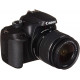 Canon EOS 4000D Body and EF-S 18-55mm III Lens Canon EOS 4000D Body and EF-S 18-55mm III Lens