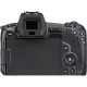 Canon EOS R Mirrorless Digital Camera Body only Canon EOS R Mirrorless Digital Camera Body only