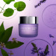 Sleeping Mask Artistry Skin Nutrition™ - قناع النوم من أرتستري Sleeping Mask Artistry Skin Nutrition™ - قناع النوم من أرتستري