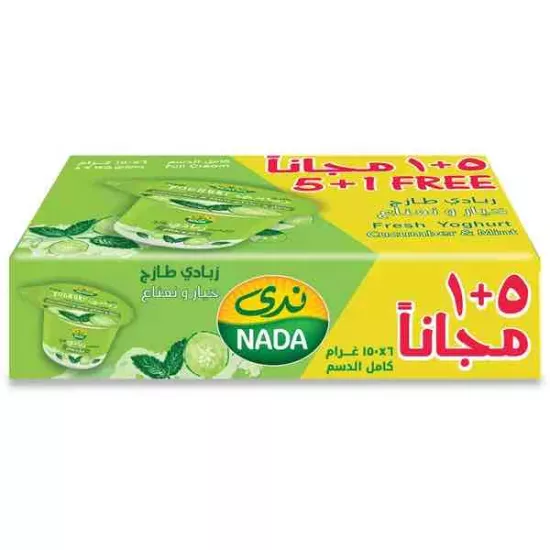 زبادي ندى نعناع وخيار 170x6جم