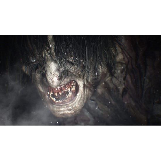 ريزدينت إيفل فيلج PS4