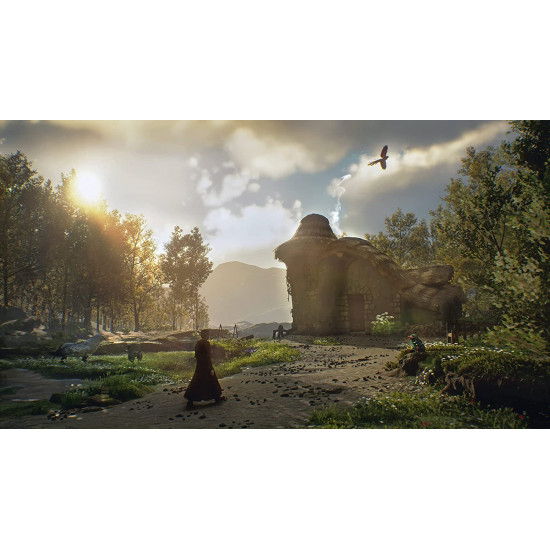 تراث هوغوورتس ps5