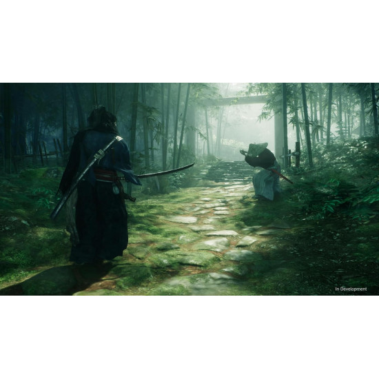 رايز أوف ذا رونين rise of the Ronin PS5