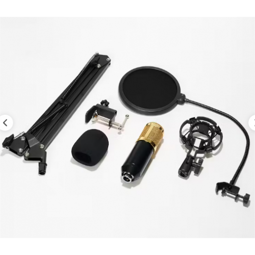 مايكروفون تسجيل احترافي 