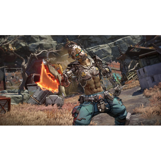 بوردرلاندد 4 PS5