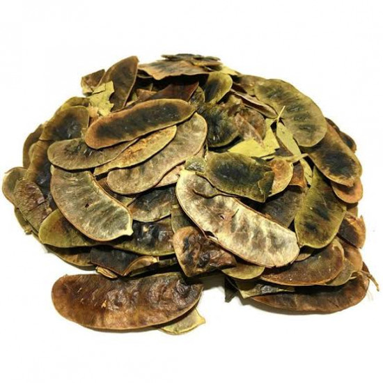 عشرق عشرق