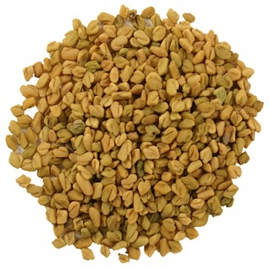 الحلبة الحلبة