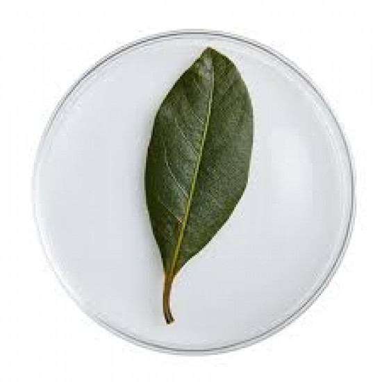ورق الحرمل