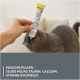 فيتامين جيم كات بالتورين للحفاظ على صحة العيون والقلب للقطط GimCat Taurine Paste Extra