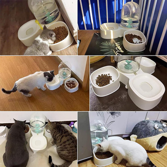 صحن اكل وشرب تربل بولز 3 في 1