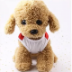 تيشرت القطط شخصية كرتونية happy pets