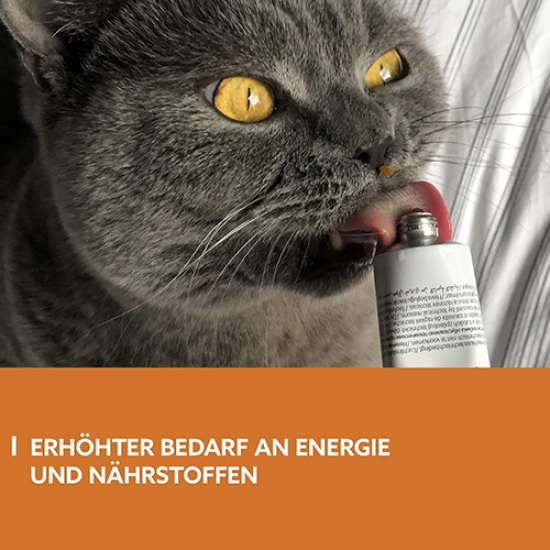 جيم كات معجون للقطط الطاقة والنشاط GimCat EXPERT LINE Energy Paste جيم كات معجون للقطط الطاقة والنشاط GimCat EXPERT LINE Energy Paste