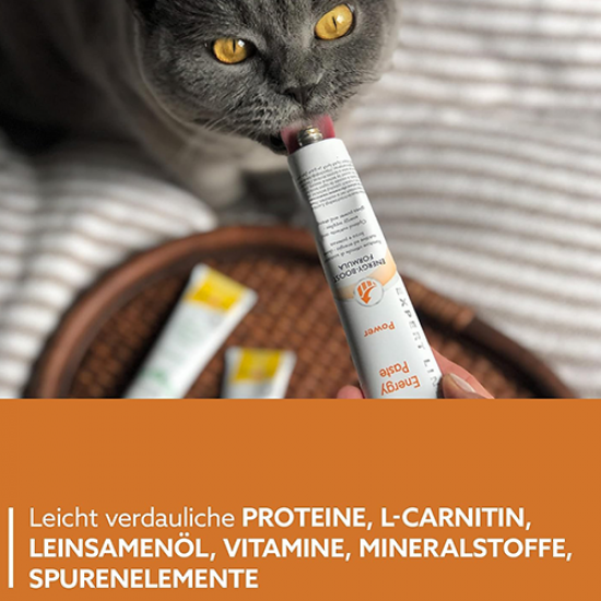 جيم كات معجون للقطط الطاقة والنشاط GimCat EXPERT LINE Energy Paste جيم كات معجون للقطط الطاقة والنشاط GimCat EXPERT LINE Energy Paste