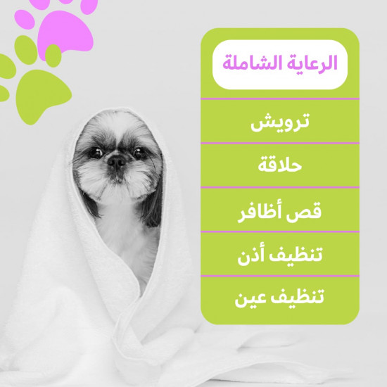 الرعاية الشاملة