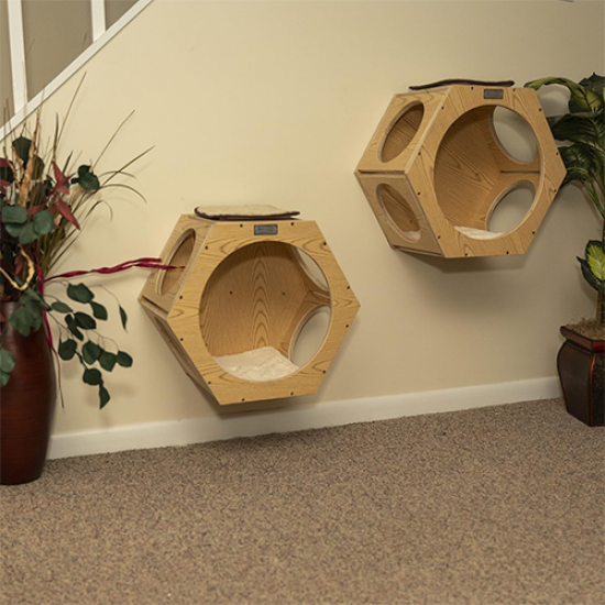 كبسولة فضائية خشبية سداسية الشكل تثبت على الحائط A space capsule for cats كبسولة فضائية خشبية سداسية الشكل تثبت على الحائط A space capsule for cats