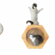 كبسولة فضائية خشبية سداسية الشكل تثبت على الحائط A space capsule for cats كبسولة فضائية خشبية سداسية الشكل تثبت على الحائط A space capsule for cats