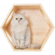 كبسولة فضائية خشبية سداسية الشكل تثبت على الحائط A space capsule for cats كبسولة فضائية خشبية سداسية الشكل تثبت على الحائط A space capsule for cats