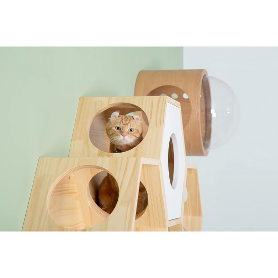 كبسولة فضائية خشبية سداسية الشكل تثبت على الحائط A space capsule for cats كبسولة فضائية خشبية سداسية الشكل تثبت على الحائط A space capsule for cats