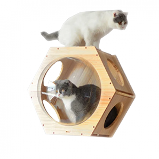 كبسولة فضائية خشبية سداسية الشكل تثبت على الحائط A space capsule for cats كبسولة فضائية خشبية سداسية الشكل تثبت على الحائط A space capsule for cats