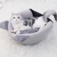 كهف القطط و الكلاب Happy pets