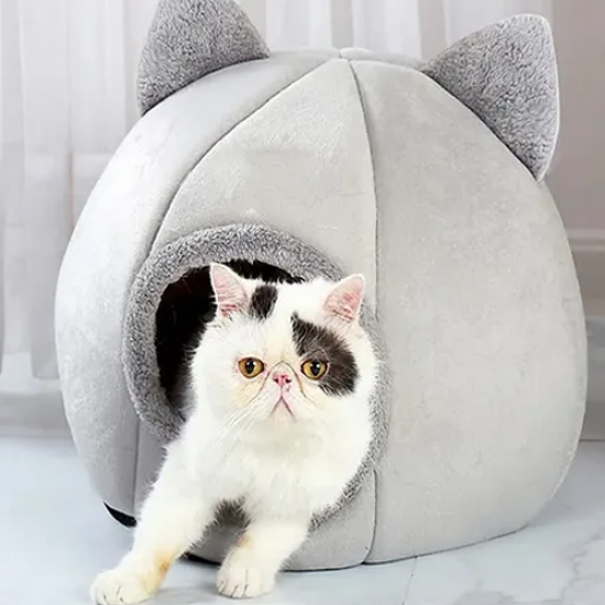 كهف القطط و الكلاب Happy pets