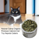 علبة كاتنيب نعناع بري طبيعي (  Catnip )  كمية اكبر 