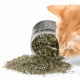 علبة كاتنيب نعناع بري طبيعي (  Catnip )  كمية اكبر 