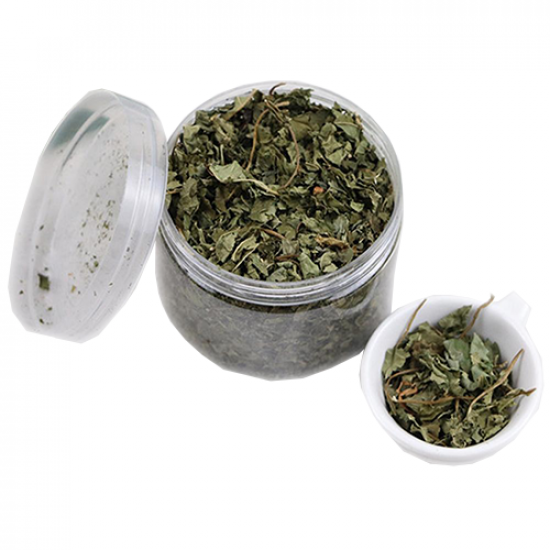 علبة كاتنيب نعناع بري طبيعي (  Catnip )  كمية اكبر 