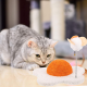 خداشة زهرة النرجس للقطط Cat tree Daffodil
