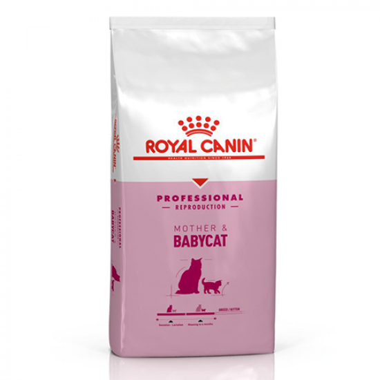 دراي فود رويال كانين للأم و صغارها royal canin mother & baby cat dry food
