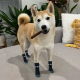 شراريب للقطط و الكلاب Pet socks مقاس L شراريب للقطط و الكلاب Pet socks مقاس L