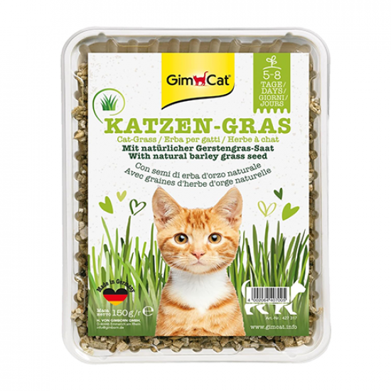 Gimcat Grass - Natural with Barley for Cats عشب طبيعي بالشعير للقطط