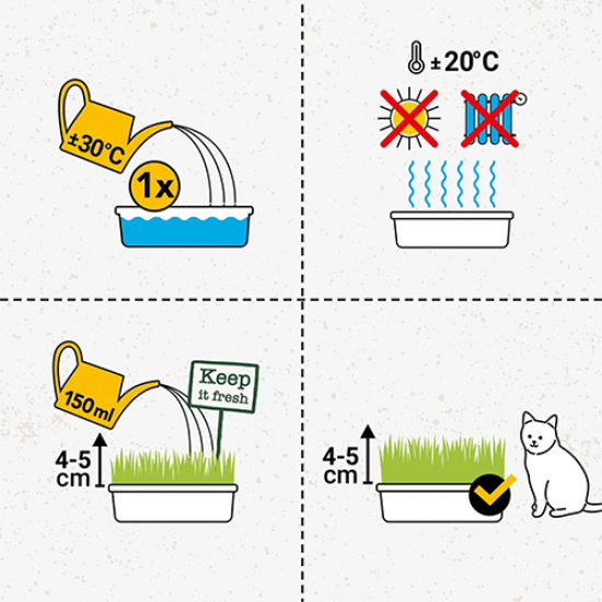 GimCat Hydro Grass عشب القطط الطازج ينمو خلال 5 إلى 8 أيام