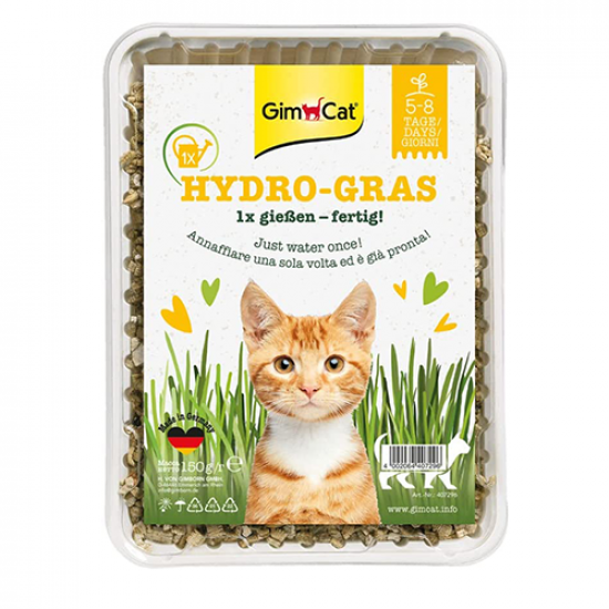 GimCat Hydro Grass عشب القطط الطازج ينمو خلال 5 إلى 8 أيام
