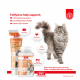 مكمل غذائي للقطط Bio Petactive Felilysine For Cats لدعم المناعة 