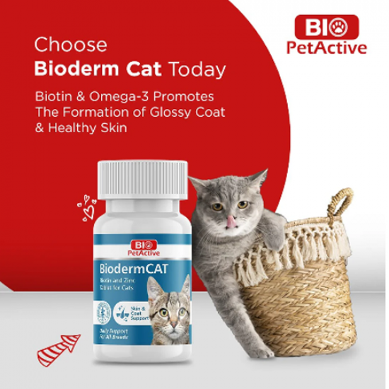 فيتامين البايوتين و الزنك للعناية بالبشرة و الشعر للقطط Biodermcat Biotin and Zinc فيتامين البايوتين و الزنك للعناية بالبشرة و الشعر للقطط Biodermcat Biotin and Zinc