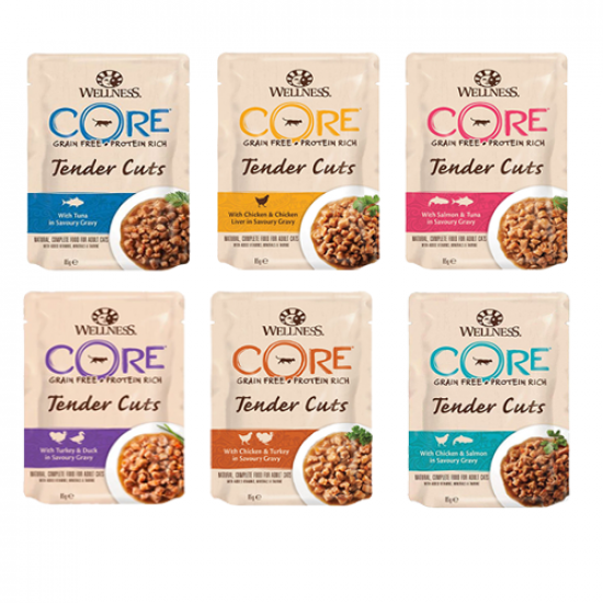 مغلفات ويلنس كور WELLNESS CORE طعام طري للقطط 85 جم كرتون منوع