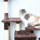  CAT TREE ddinfs شجرة خدش  AMR - 619 متعددة الالوان