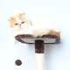  CAT TREE ddinfs شجرة خدش  AMR - 619 متعددة الالوان