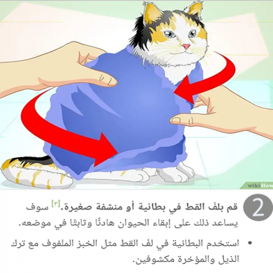 مقياس زئبقي لقياس درجة حرارة الحيوانات الاليفة مقياس زئبقي لقياس درجة حرارة الحيوانات الاليفة
