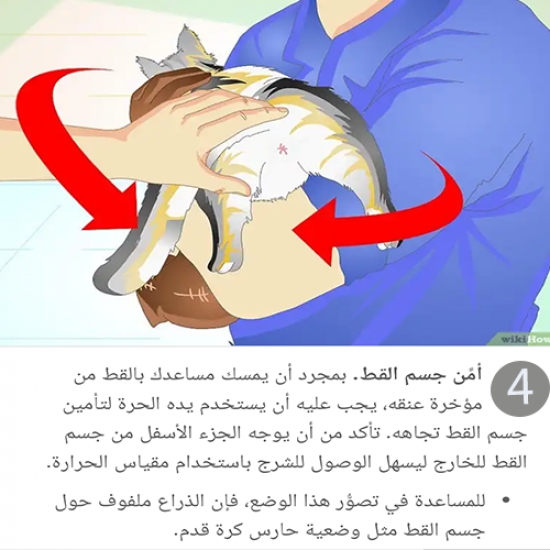 مقياس زئبقي لقياس درجة حرارة الحيوانات الاليفة مقياس زئبقي لقياس درجة حرارة الحيوانات الاليفة