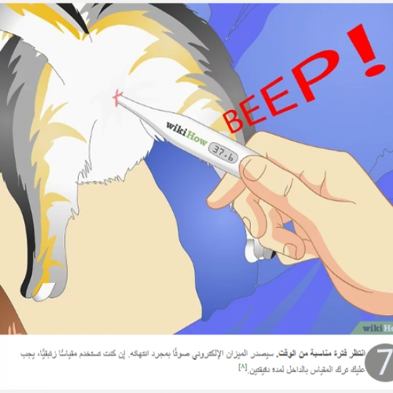 مقياس زئبقي لقياس درجة حرارة الحيوانات الاليفة مقياس زئبقي لقياس درجة حرارة الحيوانات الاليفة